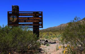 Argentinas-National-Cardones-Cactus-Park-Salta-Province